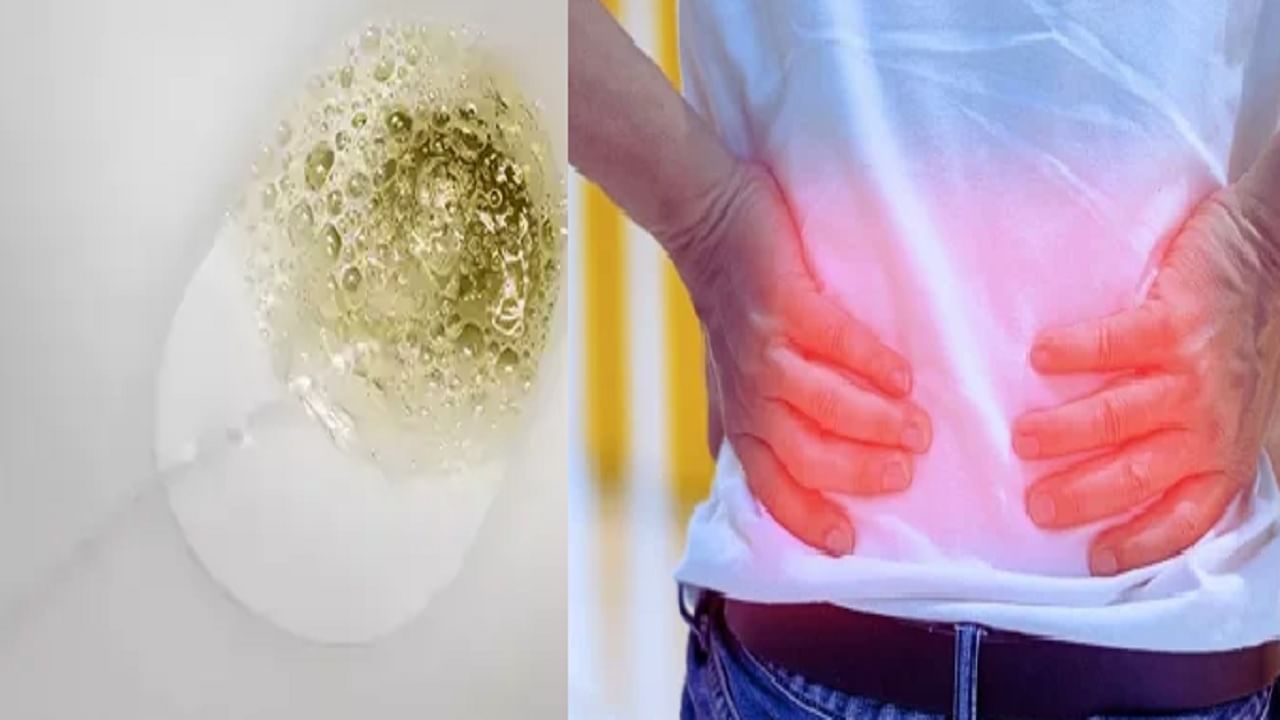 लघवीत वारंवार फेस दिसतोय, दुर्लक्ष करू नका; किडनीबाबत शरीर देतंय गंभीर संकेत, निकामी होऊ शकतं किडनी