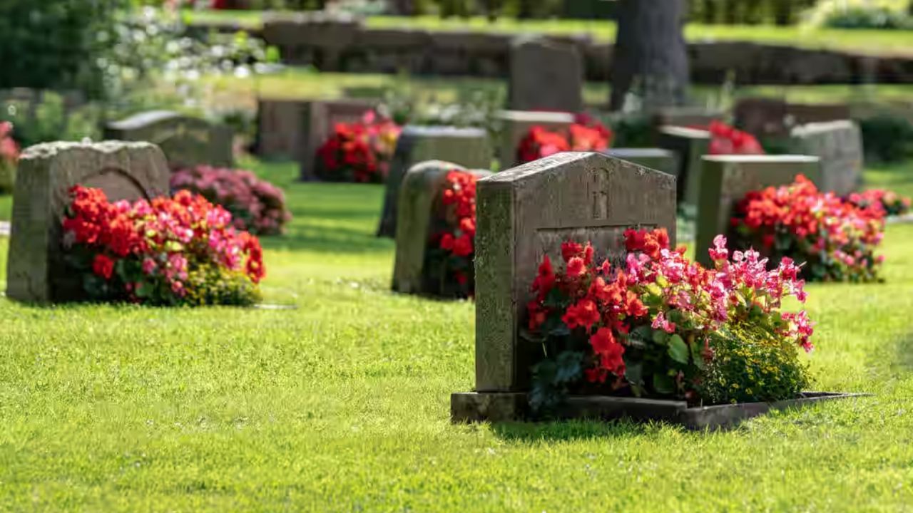 ब्रिटिशांची भारतातील 200 वर्ष जुनी स्मशानभूमी... आजही येतो रहस्यमयी आवाज, जाताच फुटतो दरदरून घाम; काय आहे भानगड?