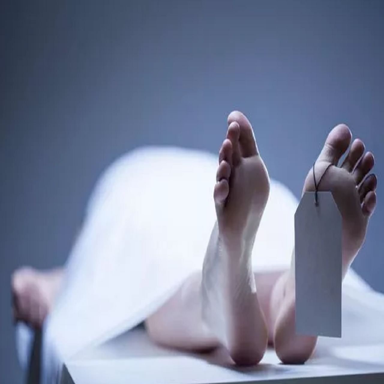 जेव्हा एखादी व्यक्ती मरते तेव्हा त्याचे शरीर जाळले जाते किंवा पुरले जाते . अशा परिस्थितीत, तुम्हाला हे जाणून आश्चर्य वाटेल की एखाद्या व्यक्तीच्या मृत्यूनंतरही काही अवयव असे असतात जे काही तास जिवंत राहतात . याशिवाय, काही अवयव असे असतात जे मृत्यूनंतर काही वर्षे जिवंत राहतात. चला तर मग त्याबद्दल जाणून घेऊया .