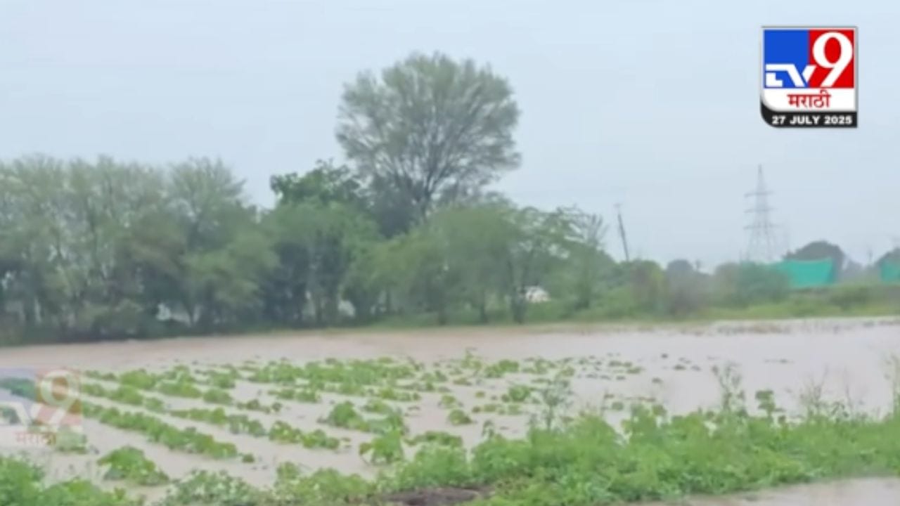 जालन्यात पावसाचा धुमाकूळ, शेताला तळ्याचं रूप; कपाशी-सोयाबीन पिकांचं नुकसान जालन्यात पावसाचा धुमाकूळ, शेताला तळ्याचं रूप; कपाशी-सोयाबीन पिकांचं नुकसान