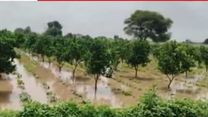 बदनापूर तालुक्यात अतिवृष्टी सदृश्य पाऊस; शेतांना आलं तळ्याचे स्वरूप बदनापूर तालुक्यात अतिवृष्टी सदृश्य पाऊस; शेतांना आलं तळ्याचे स्वरूप