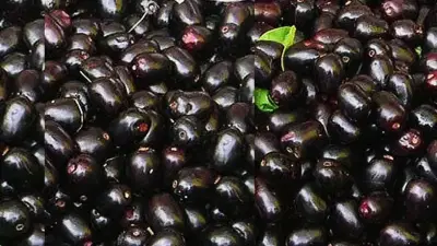 हे भारतीय फळ ब्लूबेरीइतकेच पॉवरफुल, शरीरातील खराब कोलेस्ट्रॉल करते नियंत्रित