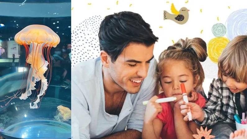 ‘जेलीफिश पेरेंटिंग’ म्हणजे काय? मुलांच्या वाढीसाठी उपयुक्त की हानिकारक? जाणून घ्या सविस्तर! ‘जेलीफिश पेरेंटिंग’ म्हणजे काय? मुलांच्या वाढीसाठी उपयुक्त की हानिकारक? जाणून घ्या सविस्तर!