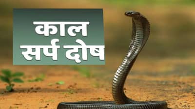 Kaal Sarp Dosh : श्रावणात काल सर्प दोष दूर करण्यासाठी काय करावं ? जाणून घ्या लक्षणं आणि उपाय
