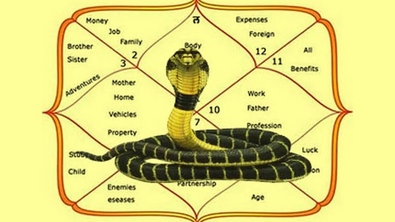 कालसर्प दोष असलेल्या व्यक्तींनी नागपंचमीला करावा एक रामबाण उपाय, असा मिळेल दिलासा...