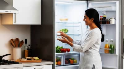 फ्रिजमध्ये का ठेवावी एक वाटी भरून मीठ? वर्षानुवर्षे फ्रिज वापरणारेही नाहीत हे जाणून! कंपनी तर सांगतही नाही ही ट्रिक