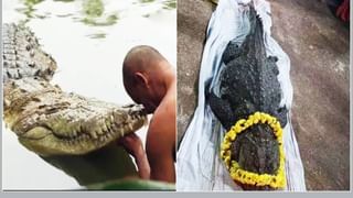 चंद्रकोर टिकलीचा इतका सुंदर अर्थ..; वाचून तुम्हीही भारावून जाल!