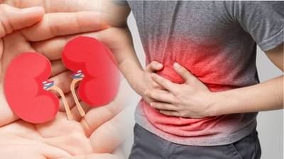 किडनी स्टोटनचा खूपच त्रास होतोय? दररोज इतक्या प्रमाणात पाणी प्या कधीही त्रास होणार नाही