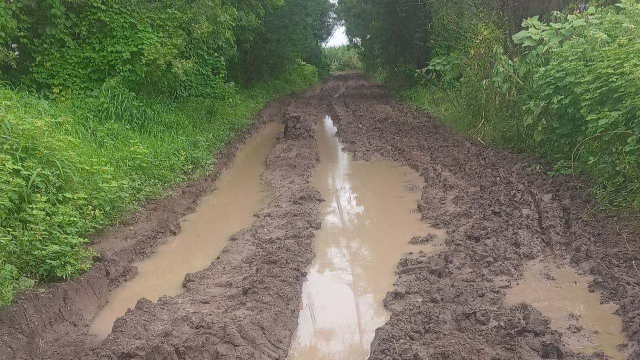 मुसळधार पावसामुळे अनेक रस्ते बंद आहेत, त्यामुळे विद्यार्थ्यांना आणि नागरिकांना प्रवास करताना अडचणींचा सामना करावा लागत आहे. 