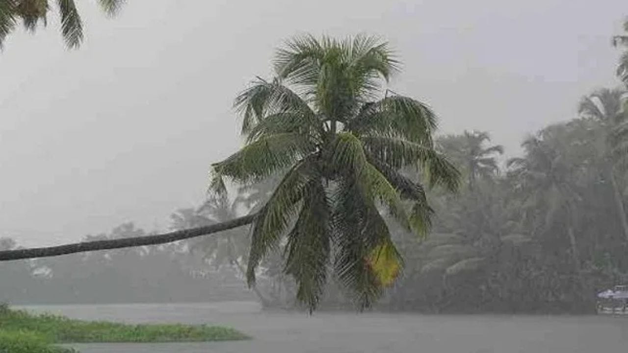 कोकणात आजही मुसळधार पावसाची शक्यता आहे. काही जिल्ह्यांना पावसाची रेड अलर्ट देण्यात आला आहे, कामाशिवाय बाहेर न पडण्याच्या सूचना नागरिकांना देण्यात आल्या आहेत. 