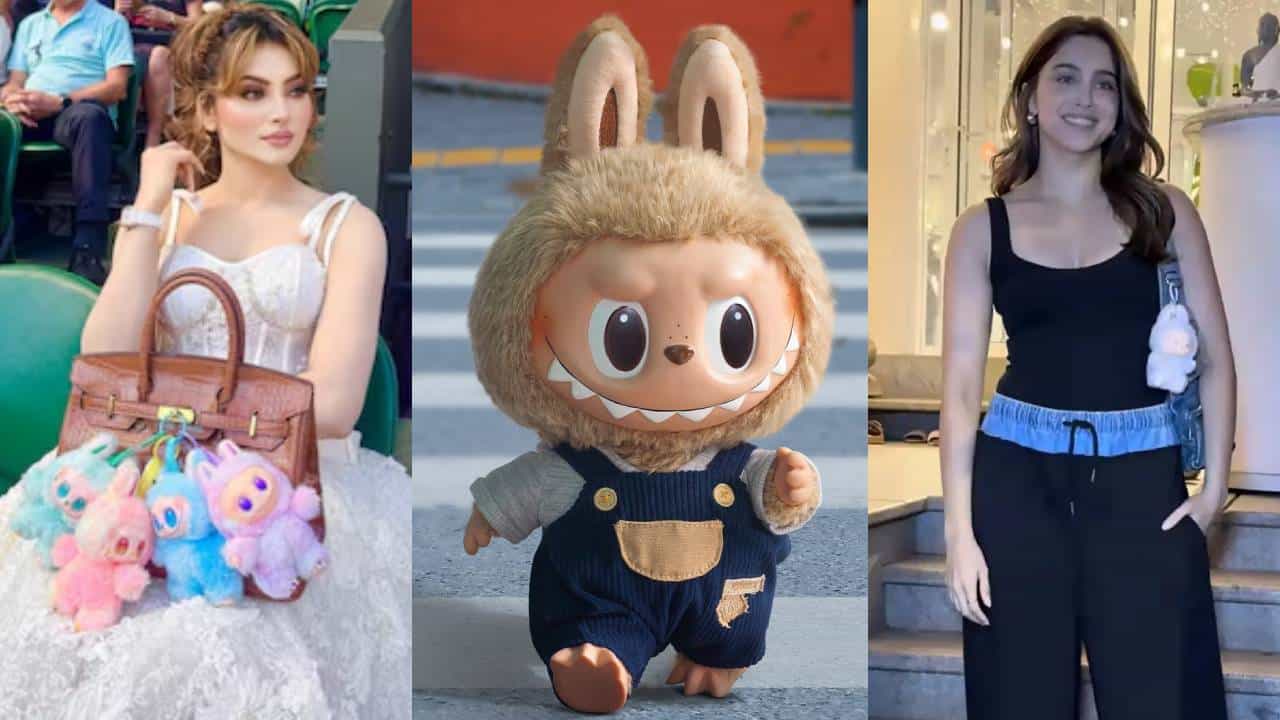 लबुबू डॉलची इतकी क्रेझ का? विचित्र दिसणाऱ्या बाहुलीसाठी लोक लाखो रुपये का मोजतायत?