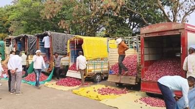 Onion Farmer : कांदा खरेदीला मुहूर्त नाहीच, नाफेड कुंभकर्णी झोपेत, शेतकरी आर्थिक संकटात