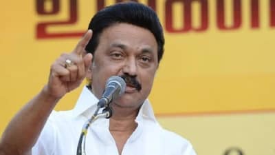 तामिळनाडूच्या मुख्यमंत्र्यांकडून ठाकरे बंधूंचं तोंडभरून कौतुक; मुंबईतील मेळाव्याबाबत नेमकं काय म्हणाले?