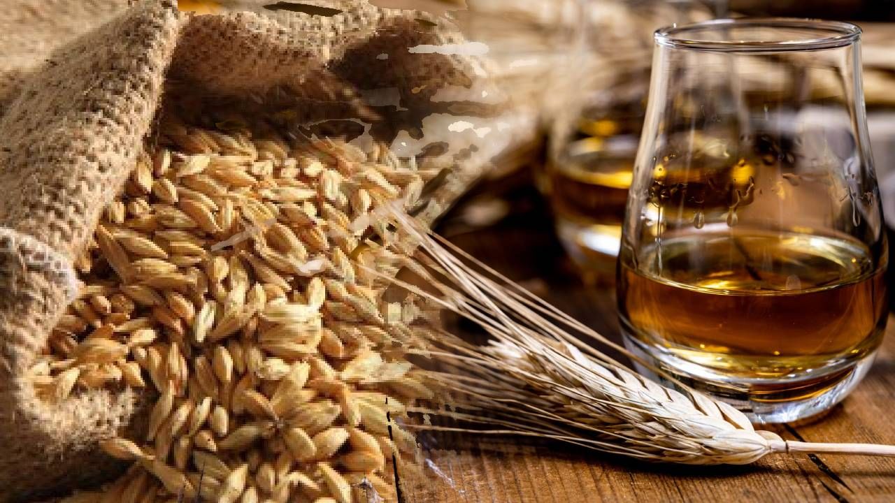 सिंगल माल्ट व्हिस्की फक्त माल्टेड बार्लीपासून बनवली जाते. माल्टेड बार्ली अंकुरित केली जाते, नंतर वाळवली जाते आणि नंतर मॅश करून शिजवली जाते.