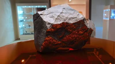 शिकाऱ्याला वाटला साधा दगड, किंमत तब्बल 34 कोटी, कुठून आला दगड?; काय आहे खासियत?