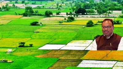 तुकडाबंदी कायद्याचा तुकडाच पाडला, 50 लाख नागरिकांना जमिनीची मालकी, कायद्यातील जाचक अटी शिथिल, असा होणार फायदा