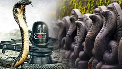 Nag Panchami 2025 : नागपंचमी 28 की 29 जुलैला? जाणून घ्या तिथी, शुभ मुहूर्त आणि धार्मिक महत्त्व