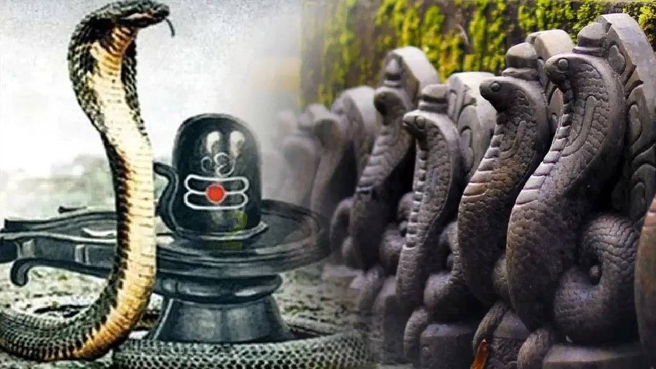Nag Panchami 2025 : नागपंचमी 28 की 29 जुलैला? जाणून घ्या तिथी, शुभ मुहूर्त आणि धार्मिक महत्त्व
