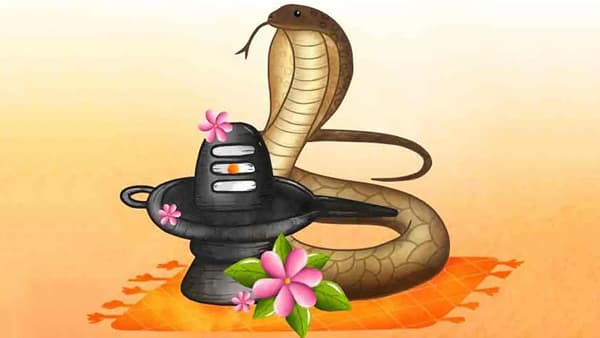नागपंचमीला काही विशेष उपाय केल्यास कालसर्पदोष होतील दूर.....
