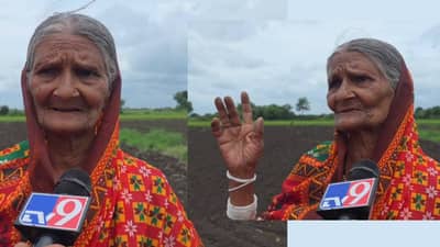 दोन एकरावर पेरणी, पण सोयाबीन उगवलेच नाही, व्यथा सांगताना आजीला अश्रू अनावर, कोण करणार कारवाई बोगस बियाणे कंपन्यावर