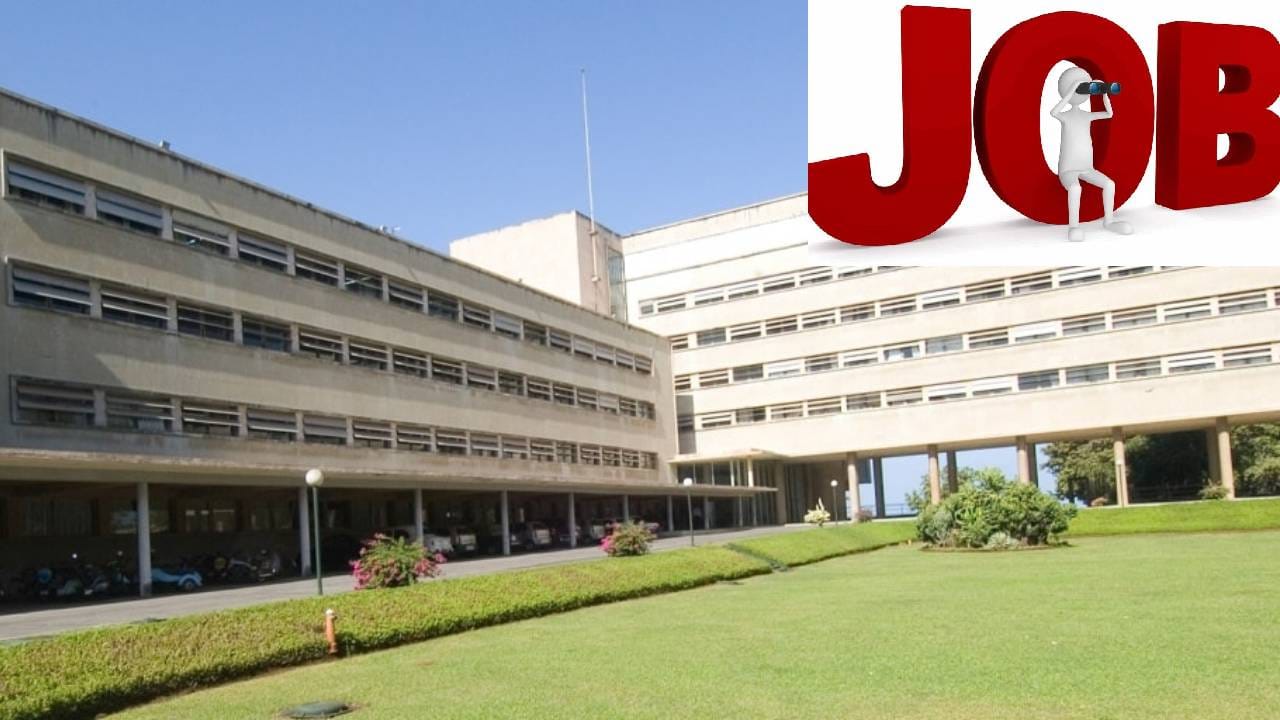 शाहरुख, सलमान राहतात त्याच मुंबईत राहायचे असेल तर ही नोकरी तुमच्यासाठी... पगार लाखापर्यंत, फक्त या अटी पूर्ण करा; जाणून घ्या कुठे आहे भरती शाहरुख, सलमान राहतात त्याच मुंबईत राहायचे असेल तर ही नोकरी तुमच्यासाठी... पगार लाखापर्यंत, फक्त या अटी पूर्ण करा; जाणून घ्या कुठे आहे भरती