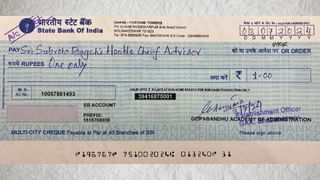 तुम्हाला चावलेला साप विषारी की बिनविषारी? झटक्यात ओळखा, ही आहे अगदी सोपी ट्रिक