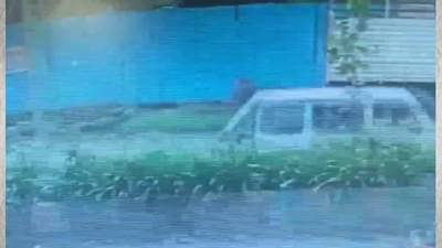 अंबरनाथमध्ये भरधाव स्कुलव्हॅनमधून लहान मुले कोसळली, चालकांसह तिघांवर गुन्हा