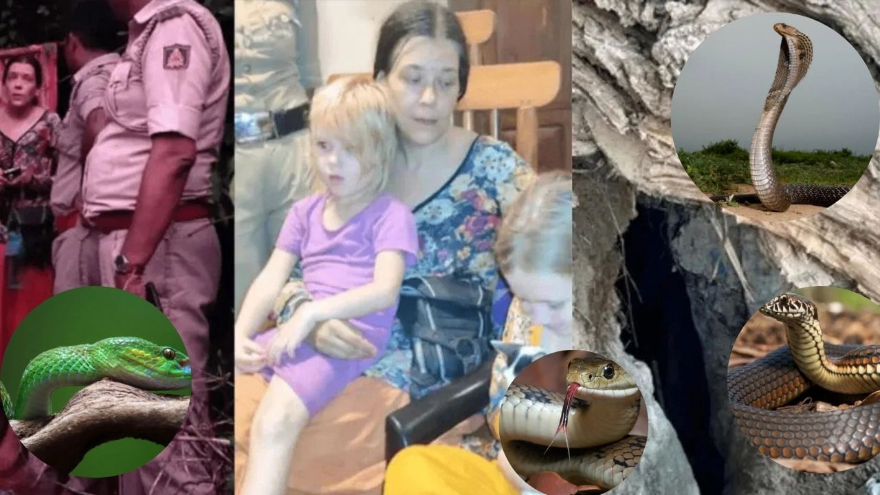 गोकर्णचं किर्र जंगल, खतरनाक विषारी सापं, जीव कसा वाचवला? गुहेत राहणाऱ्या रशियन बाईनं सांगितली सापांपासून बचावाची सोपी ट्रीक