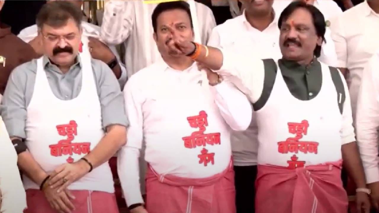 महाराष्ट्राची लूट करणाऱ्या चड्डी बनियन गँगचा धिक्कार असो, अशा आशयाचे फलक त्यांनी हातात धरले होते. विधीमंडळाच्या पायऱ्यांवर त्यांनी जोरदार घोषणाबाजीदेखील केली. 
