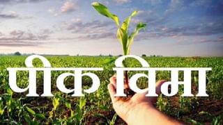 Pik Vima: शेतकऱ्यांनी पिकविमा योजनेकडे फिरवली पाठ, 'हे' आहे कारण.