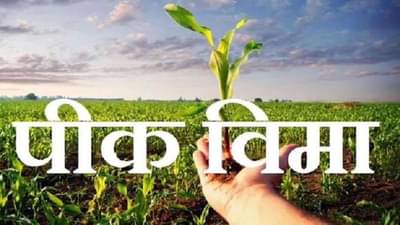 Pik Vima: शेतकऱ्यांनी पिकविमा योजनेकडे फिरवली पाठ, हे आहे कारण