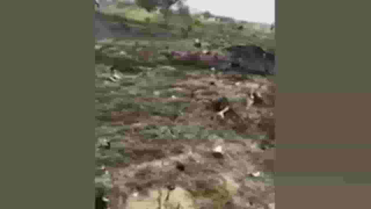 Rajasthan : राजस्थानच्या चुरूत भारतीय वायुसेनेचे विमान कोसळले, एकाचा मृत्यू