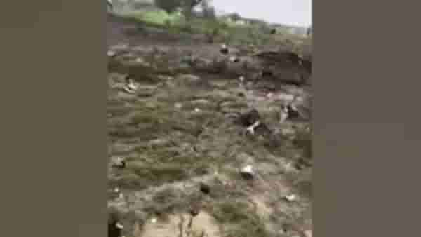 Rajasthan : राजस्थानच्या चुरूत भारतीय वायुसेनेचे विमान कोसळले, एकाचा मृत्यू