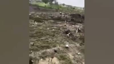 Rajasthan : राजस्थानच्या चुरूत भारतीय वायुसेनेचे विमान कोसळले, एकाचा मृत्यू