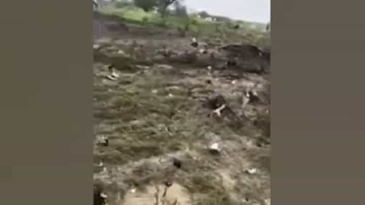 Rajasthan : राजस्थानच्या चुरूत भारतीय वायुसेनेचे विमान कोसळले, एकाचा मृत्यू Rajasthan : राजस्थानच्या चुरूत भारतीय वायुसेनेचे विमान कोसळले, एकाचा मृत्यू