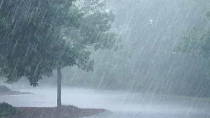 Weather Alert: राज्यातील पावसाचा जोर ओसरला, पुढील तीन दिवसांसाठी IMD कडून महत्वाचे अपडेट