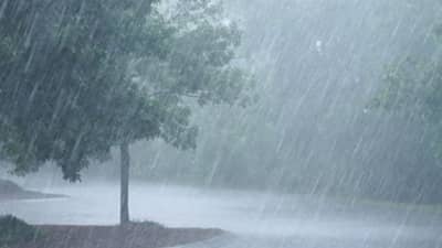 Weather Alert: राज्यातील पावसाचा जोर ओसरला, पुढील तीन दिवसांसाठी IMD कडून महत्वाचे अपडेट