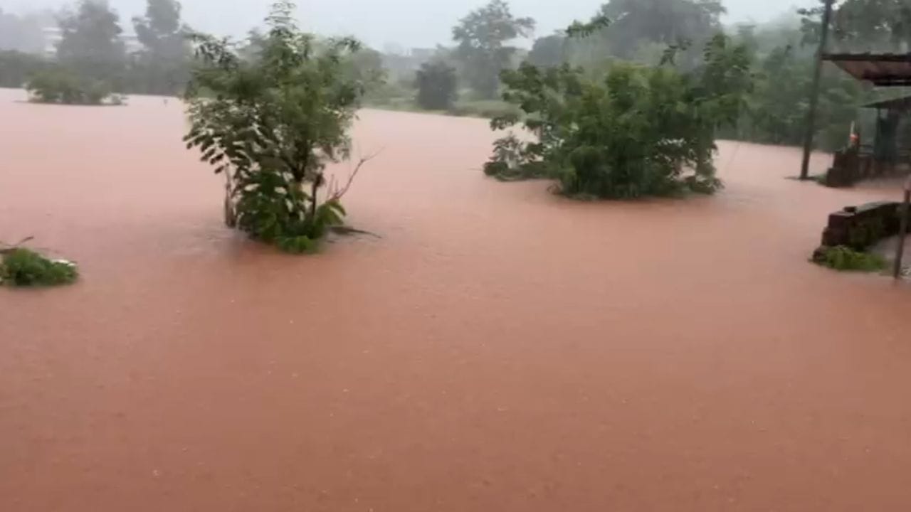 रत्नागिरी जिल्ह्यात पावसाची धुवांधार बॅटींग सुरु आहे. रत्नागिरी तालुक्यातील बाव नदीने रौद्ररूप धारण केले आहे. बाव नदीचे पाणी पात्र बाहेर आले आहे. नदीचे पाणी परचुरी पुलाला देखील लागले आहे. 