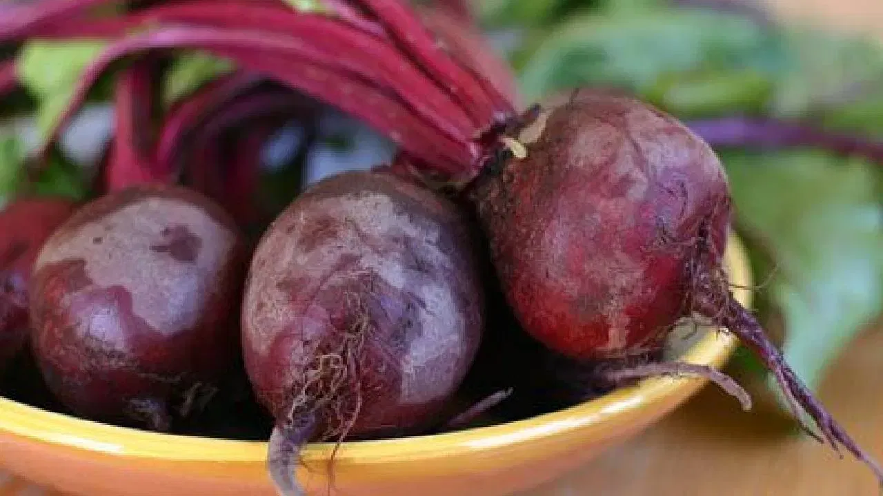 कच्च्या बीटामध्ये नायट्रेट, फायबर आणि पोटॅशियम सारखे घटक आढळतात. मात्र बीट शिजवल्यास यातील घटक कमी होतात. त्यामुळे बीट कच्चे खावे, हे तुमच्या हृदयाच्या आरोग्यासाठी फायदेशीर आहे.  