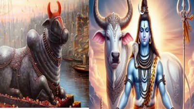 महादेवापूर्वी नंदीची पूजा का केली जाते? जाणून घ्या शास्त्रीय कारण....