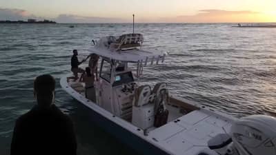 प्रसिद्ध अभिनेत्याचा समुद्रात बुडून मृत्यू, मनोरंजन विश्वात खळबळ