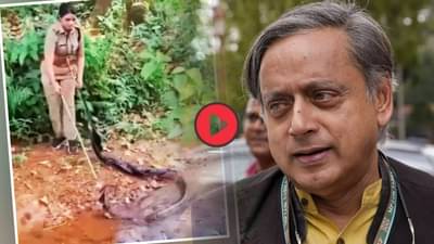 एका हातात काठी, दुसऱ्या हातात फडकं... महिला अधिकाऱ्याने असा पकडला कोब्रा, थरूर यांच्याकडून कौतुक