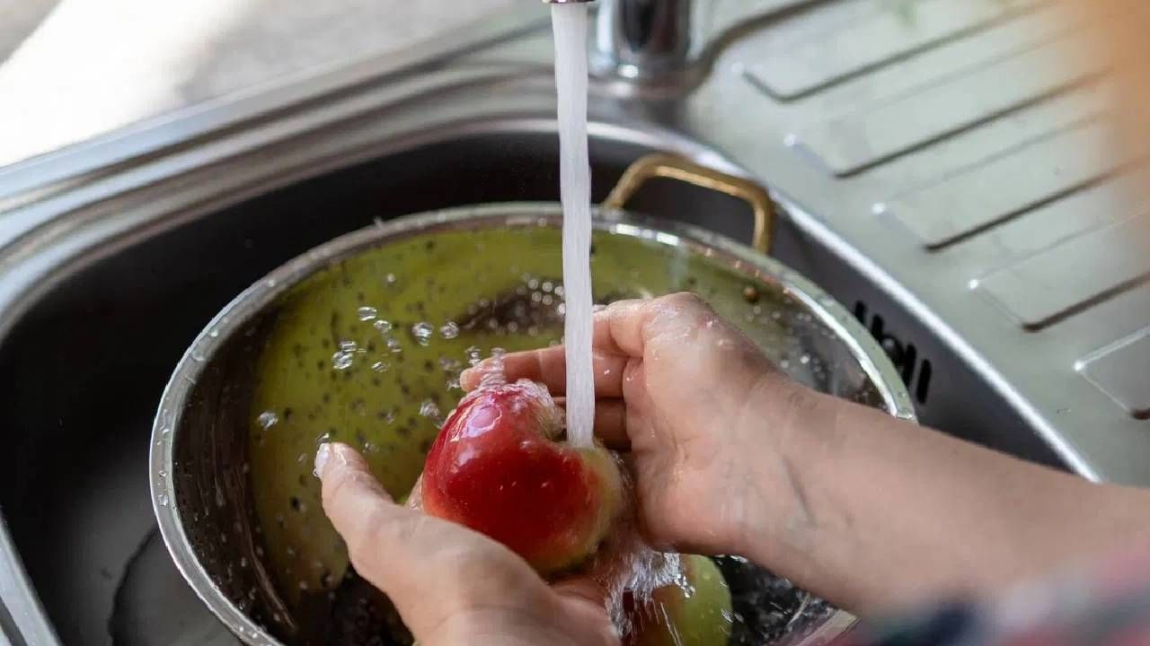 तुम्ही तुमच्या आहार या काळात हलका घ्यावा. खिचडी किंवा वरण भात खाऊ शकता. इतकंच काय तर फळ आहार करताना फळं स्वच्छ दोन तीन धुवून घ्या. 