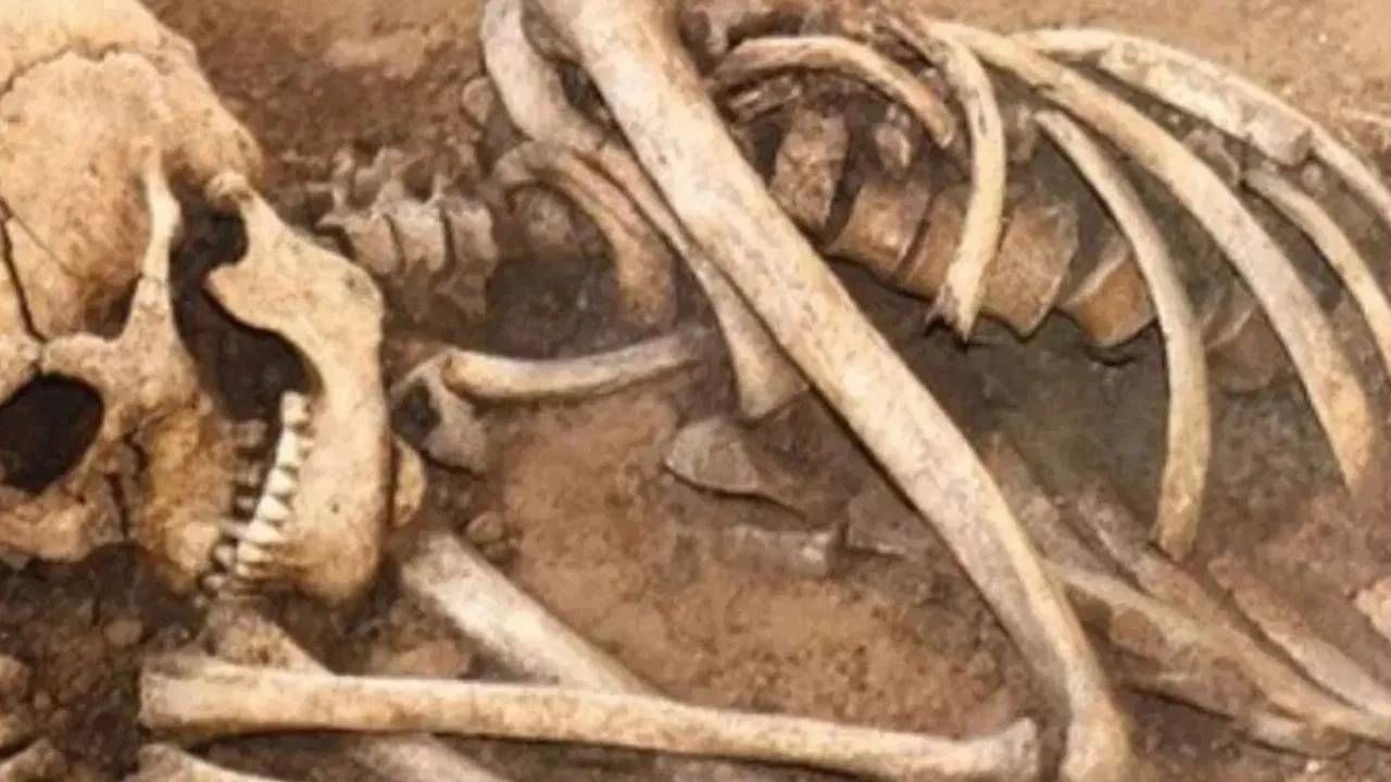 10 वर्षांपूर्वी झाला होता मृत्यू, नोकिया फोनने असे उलगडले रहस्य... पोलिसही चकित झाले