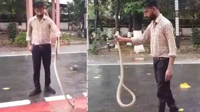 राज्यमंत्र्यांच्या बैठकीत खळबळ! चक्क गाडीत सापडला 6 फूट लांबीचा साप... व्हिडीओपाहून तुमचाही थरकाप उडेल