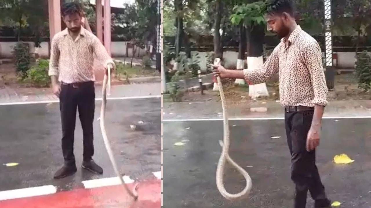 राज्यमंत्र्यांच्या बैठकीत खळबळ! चक्क गाडीत सापडला 6 फूट लांबीचा साप... व्हिडीओपाहून तुमचाही थरकाप उडेल राज्यमंत्र्यांच्या बैठकीत खळबळ! चक्क गाडीत सापडला 6 फूट लांबीचा साप... व्हिडीओपाहून तुमचाही थरकाप उडेल