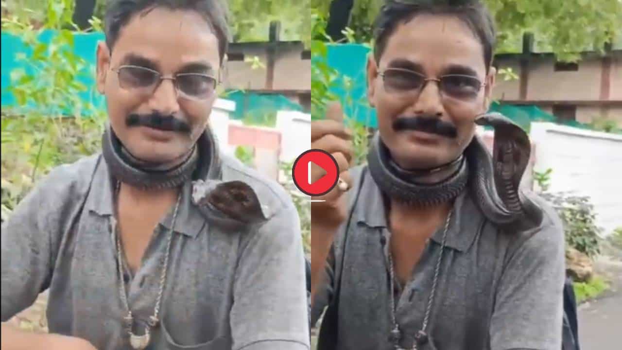 Video: चक्क नाग गळ्यात गुंडाळून बाइकवरुन चालला होता, वाटेतच होत्याचं नव्हतं झालं
