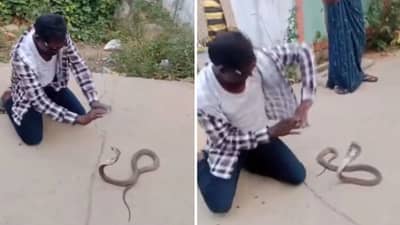 नागापुढे नागीन डान्स केल्यावर काय होतं? हा Video एकदा बघाच