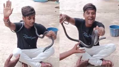 खुळ्यांचा बाजार... Reel Viral करण्यासााठी डेंजर नाग गळ्यात घालून काढत होता व्हिडीओ, डसल्यानंतर थेट... अवघ्या तेविशीतील तरुणाचं काय झालं?