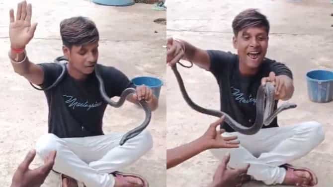 खुळ्यांचा बाजार... Reel Viral करण्यासााठी डेंजर नाग गळ्यात घालून काढत होता व्हिडीओ, डसल्यानंतर थेट... अवघ्या तेविशीतील तरुणाचं काय झालं?